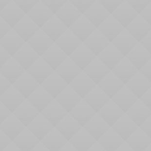 04 Modern Library in Chicago